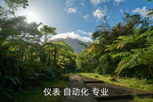 自動化專業(yè)實踐類課程有哪些