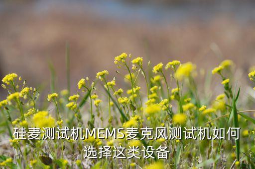 艾森特自動(dòng)化設(shè)備,東莞瑪?shù)伦詣?dòng)化怎么樣?專業(yè)團(tuán)隊(duì)怎么做?