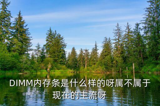 DIMM內(nèi)存條是什么樣的呀屬不屬于現(xiàn)在的主流呀