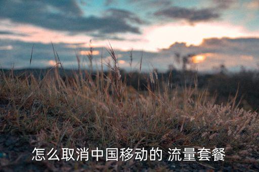 怎么取消中國(guó)移動(dòng)的 流量套餐