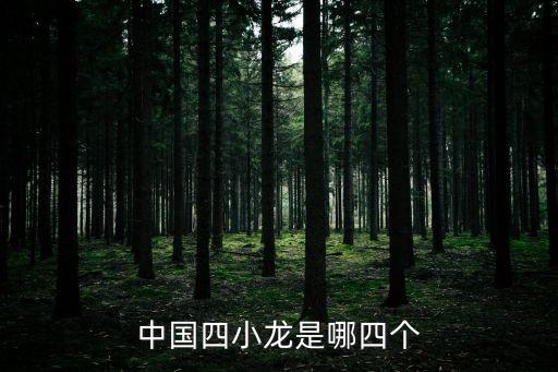 中國四小龍是哪四個