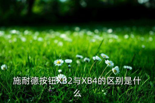施耐德按鈕XB2與XB4的區(qū)別是什么