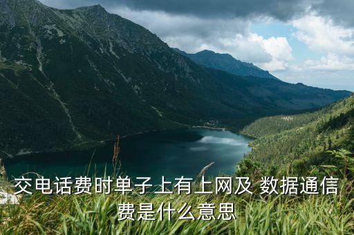 交電話費時單子上有上網(wǎng)及 數(shù)據(jù)通信費是什么意思