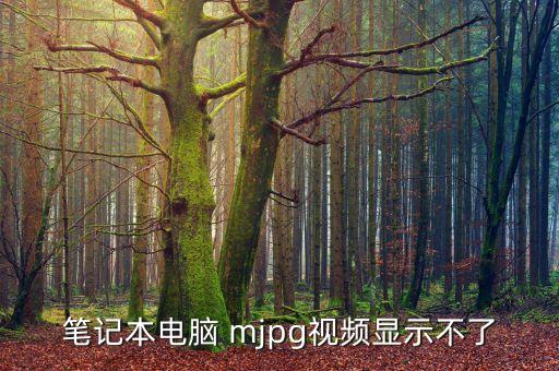 筆記本電腦 mjpg視頻顯示不了