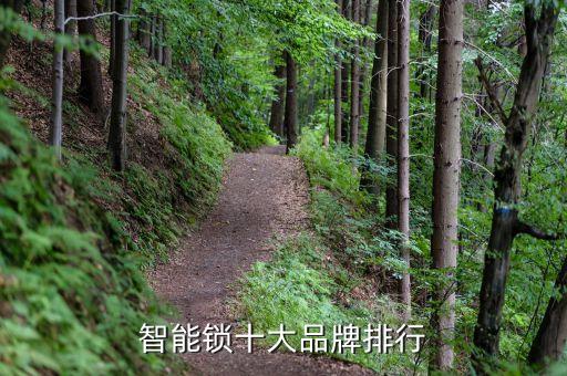 智能鎖十大品牌排行