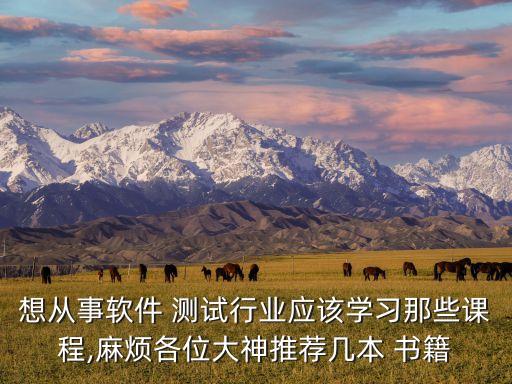 想從事軟件 測(cè)試行業(yè)應(yīng)該學(xué)習(xí)那些課程,麻煩各位大神推薦幾本 書(shū)籍