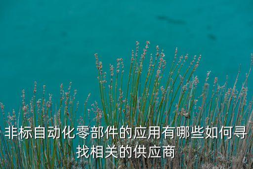非標(biāo)自動(dòng)化零部件的應(yīng)用有哪些如何尋找相關(guān)的供應(yīng)商