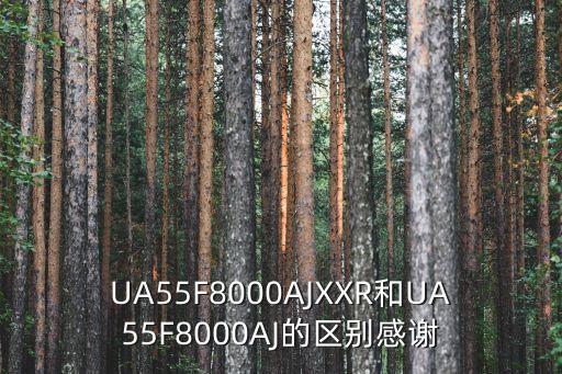 xxr,請問您咨詢的型號是不是一樣的!