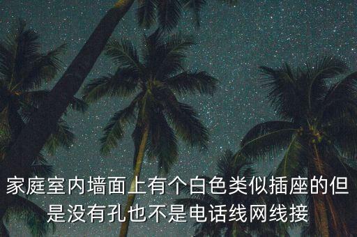 家庭室內(nèi)墻面上有個白色類似插座的但是沒有孔也不是電話線網(wǎng)線接