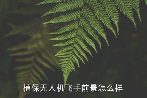 無人機飛手，怎么學(xué)無人機