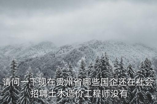 請問一下現(xiàn)在貴州省哪些國企還在社會 招聘土木造價工程師沒有