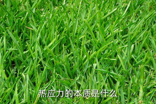 熱應(yīng)力的本質(zhì)是什么