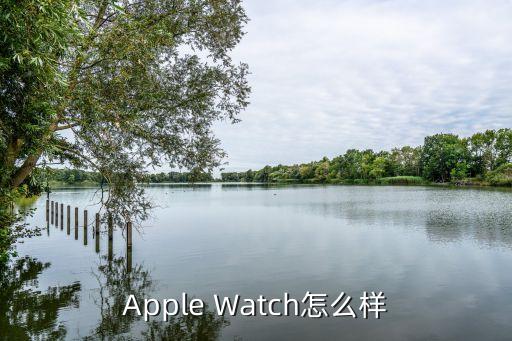 Apple Watch怎么樣