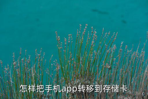 怎樣把手機(jī)app轉(zhuǎn)移到存儲(chǔ)卡