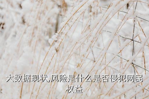 大數(shù)據(jù)的負(fù)面影響和風(fēng)險(xiǎn),大數(shù)據(jù)面臨哪些主要風(fēng)險(xiǎn)?