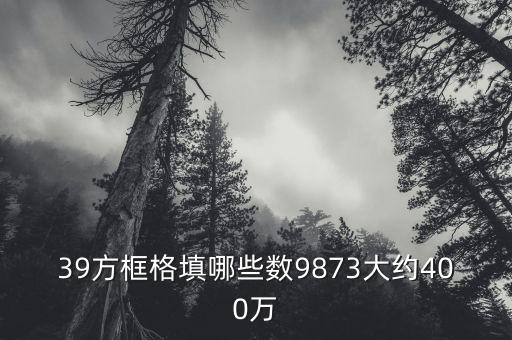9873，波音8L9873是什么樣的飛機(jī)