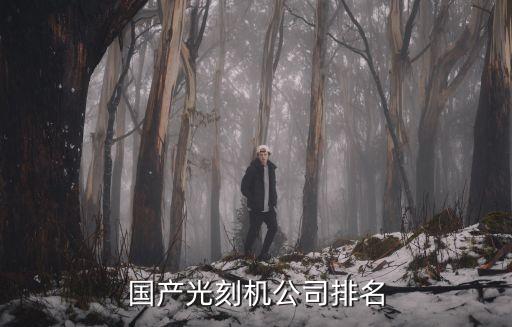 國產(chǎn)光刻機公司排名