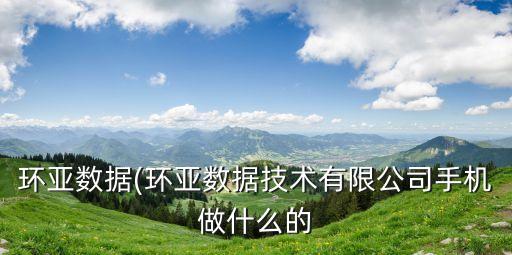 數(shù)據(jù)服務(wù)公司做什么的,環(huán)亞數(shù)據(jù)的職責和分享