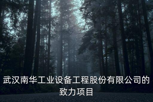 武漢南華工業(yè)設(shè)備工程股份有限公司的致力項(xiàng)目