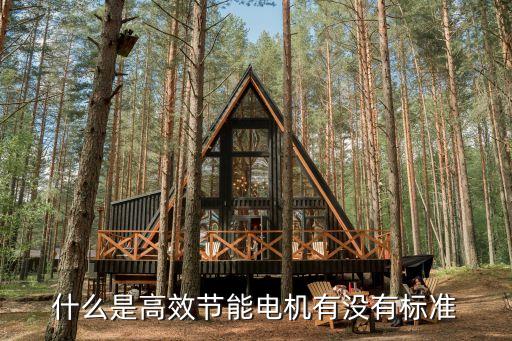高效節(jié)能電機，什么是高效節(jié)能電機有沒有標準