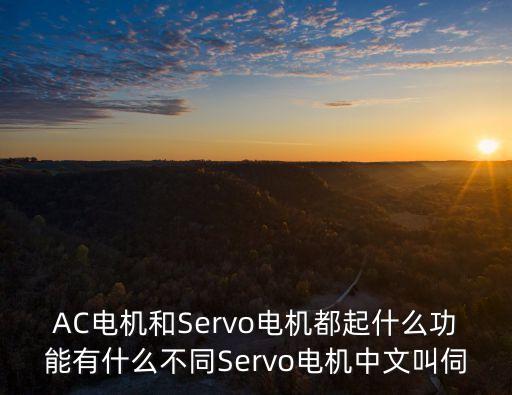 AC電機和Servo電機都起什么功能有什么不同Servo電機中文叫伺