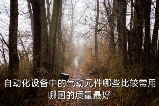 自動(dòng)化設(shè)備中的氣動(dòng)元件哪些比較常用哪國(guó)的質(zhì)量最好