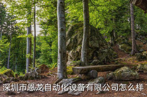 深圳市恩龍自動化設(shè)備有限公司怎么樣