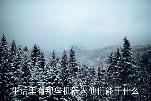生活里有那些機器人他們能干什么
