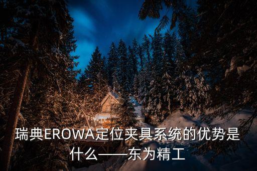 瑞典EROWA定位夾具系統(tǒng)的優(yōu)勢是什么——東為精工