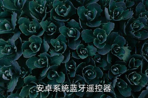 藍牙控制器，安卓系統(tǒng)藍牙遙控器