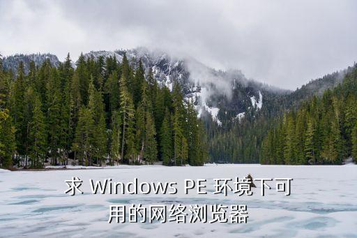 求 Windows PE 環(huán)境下可用的網(wǎng)絡瀏覽器
