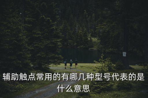輔助觸點常用的有哪幾種型號代表的是什么意思