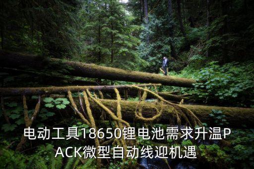 鋰電模組自動(dòng)化設(shè)備有哪些,自動(dòng)化設(shè)備都有哪些?