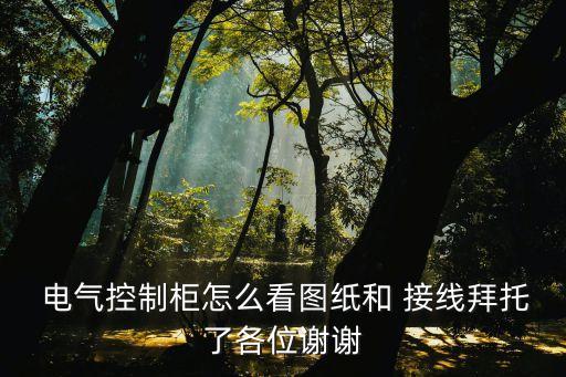  電氣控制柜怎么看圖紙和 接線拜托了各位謝謝