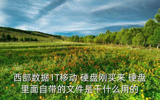 西數(shù)移動硬盤