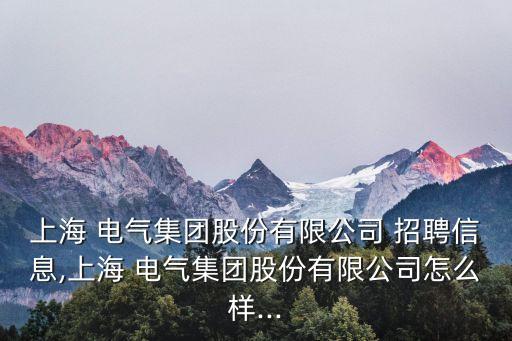 上海 電氣集團(tuán)股份有限公司 招聘信息,上海 電氣集團(tuán)股份有限公司怎么樣...
