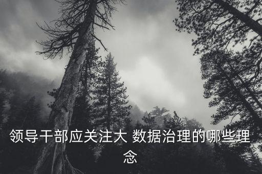 領(lǐng)導(dǎo)干部應(yīng)關(guān)注大 數(shù)據(jù)治理的哪些理念