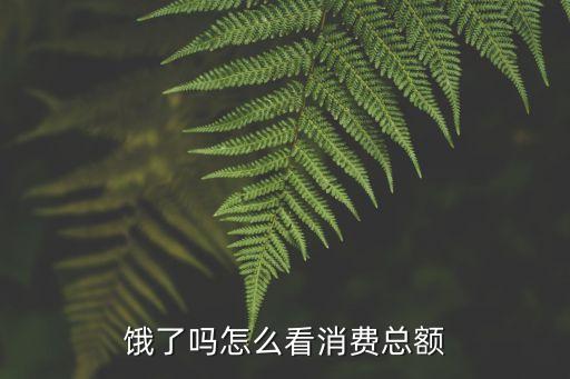 餓了么大數(shù)據(jù)查詢,怎么看餓了么無消費(fèi)賬單查詢功能?