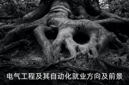 電氣工程及其自動(dòng)化就業(yè)方向及前景