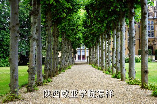 盛地自動化公司怎么樣,武漢職業(yè)教育中心怎么樣?