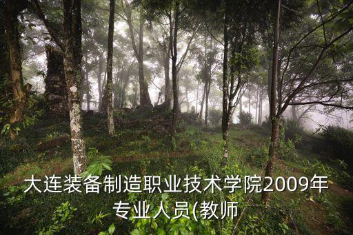 大連裝備制造職業(yè)技術(shù)學(xué)院2009年專業(yè)人員(教師