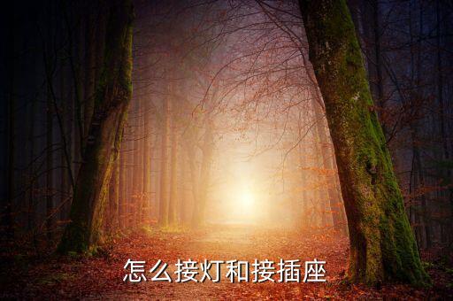 怎么接燈和接插座