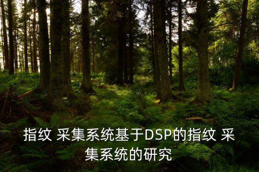 dsp用數(shù)據(jù)采集電路,數(shù)據(jù)采集電路程序流程圖