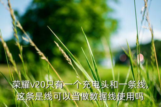 充電線可以當(dāng)數(shù)據(jù)線嗎,手機(jī)充電線和數(shù)據(jù)線一樣嗎?
