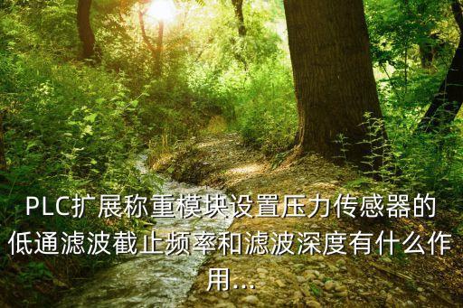 PLC擴(kuò)展稱重模塊設(shè)置壓力傳感器的低通濾波截止頻率和濾波深度有什么作用...
