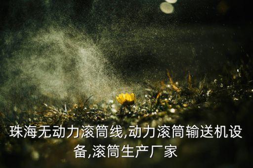 珠海無動力滾筒線,動力滾筒輸送機(jī)設(shè)備,滾筒生產(chǎn)廠家