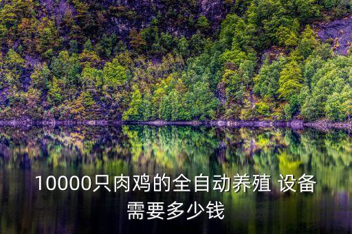 10000只肉雞的全自動(dòng)養(yǎng)殖 設(shè)備需要多少錢