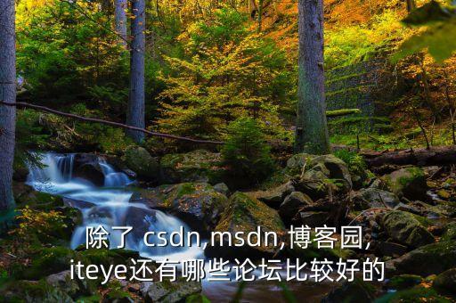 除了 csdn,msdn,博客園,iteye還有哪些論壇比較好的