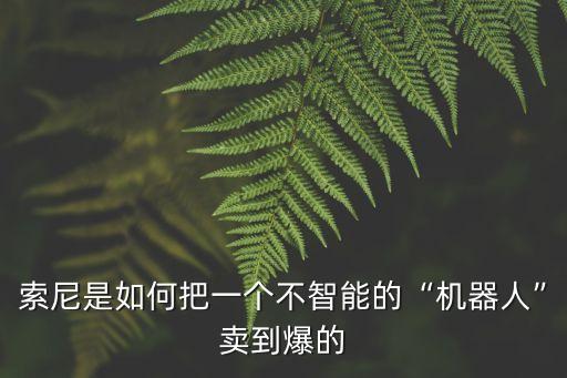 索尼是如何把一個(gè)不智能的“機(jī)器人”賣到爆的