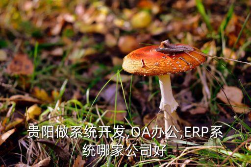 貴陽(yáng)做系統(tǒng)開(kāi)發(fā),OA辦公,ERP系統(tǒng)哪家公司好
